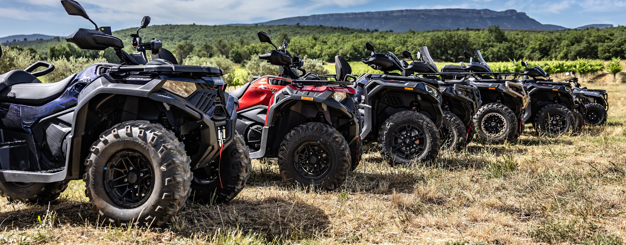 gamme-quads